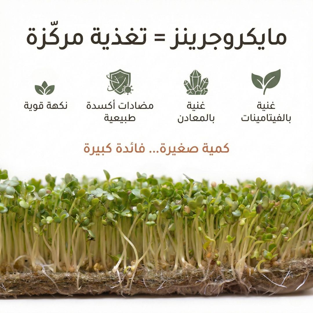Ramadan Special Bundle | 2 Plantel Pots + 2 Jarjeer seed packs + 2 Rashad seed packs + 2 Chia seeds packs