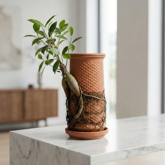 Plantel Pot | Self Watering Living Decor