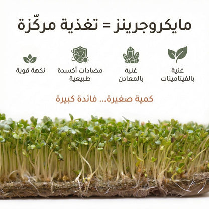 Plantel Pot | Self Watering Planter