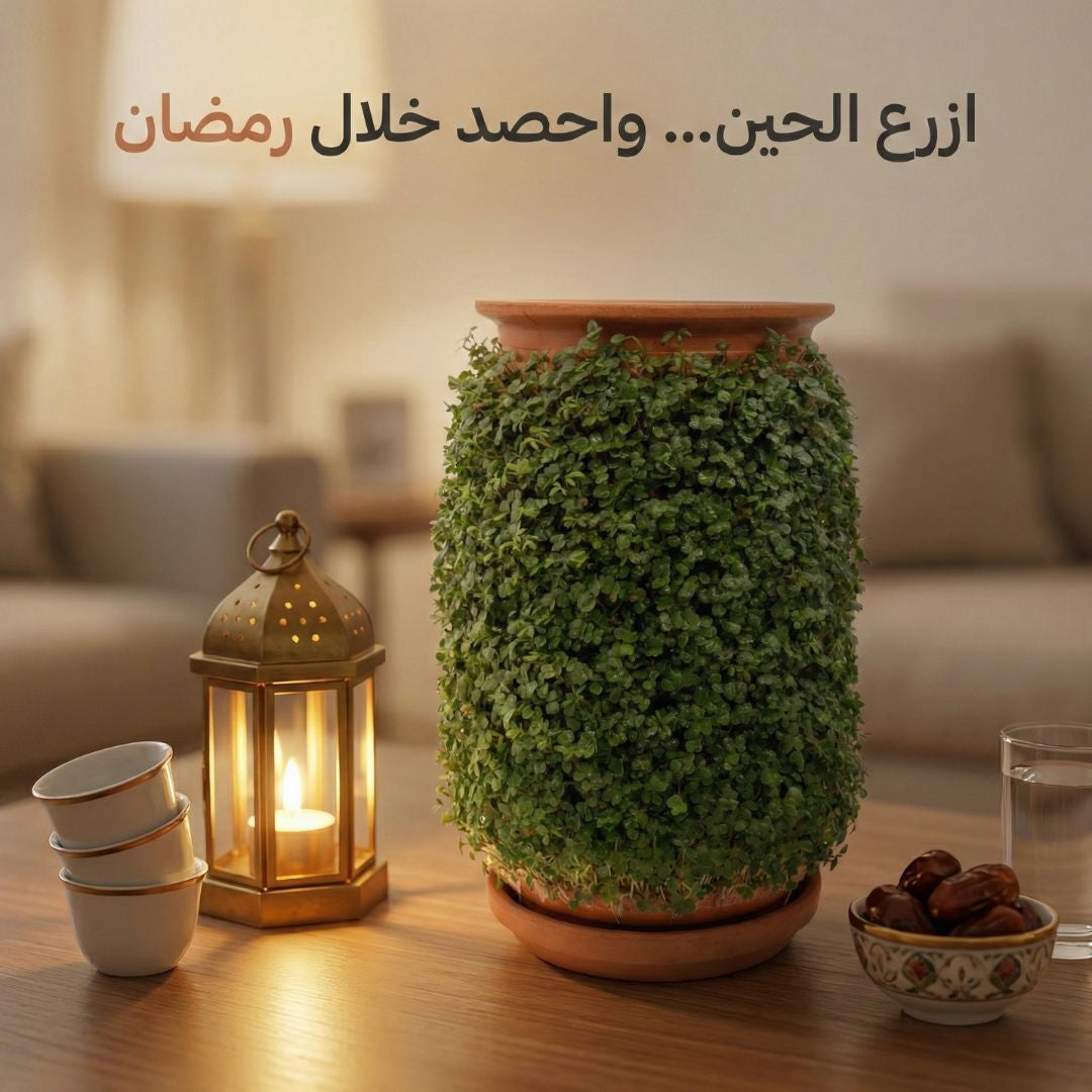 Plantel Pot | Self Watering Planter