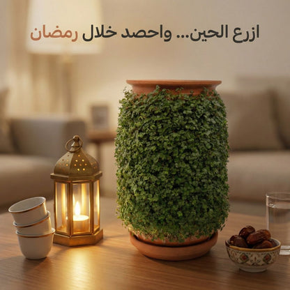 Plantel Pot | Self Watering Planter