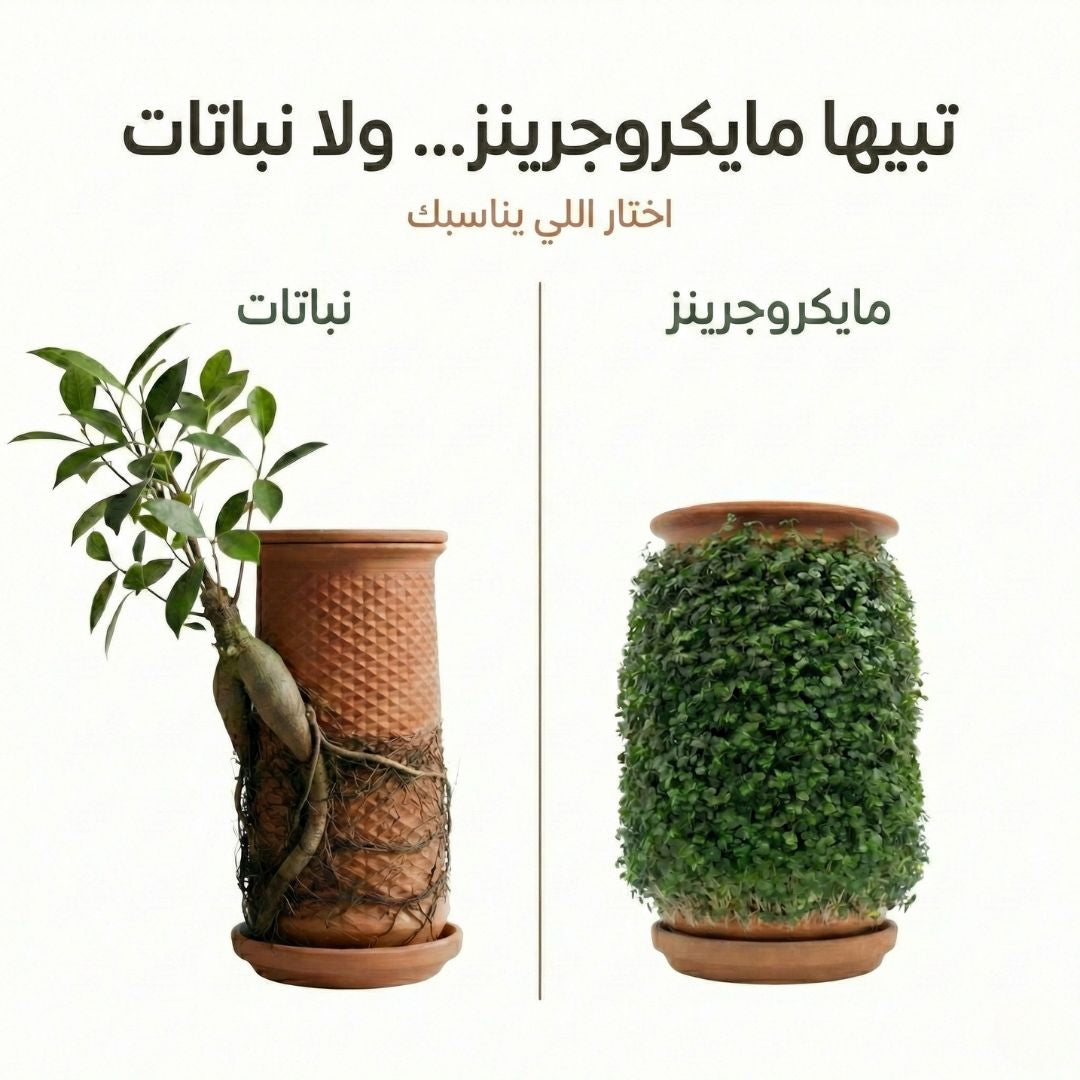 Plantel Pot | Self Watering Planter