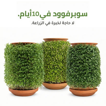 Super food, Microgreens in 10 days with plantel