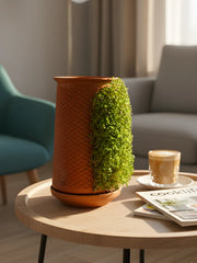 Soilless Hydroponic Handmade Flower Pot | Soilless Plant Growing Decorative Desktop Design