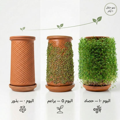 Plantel pot growing over timeline